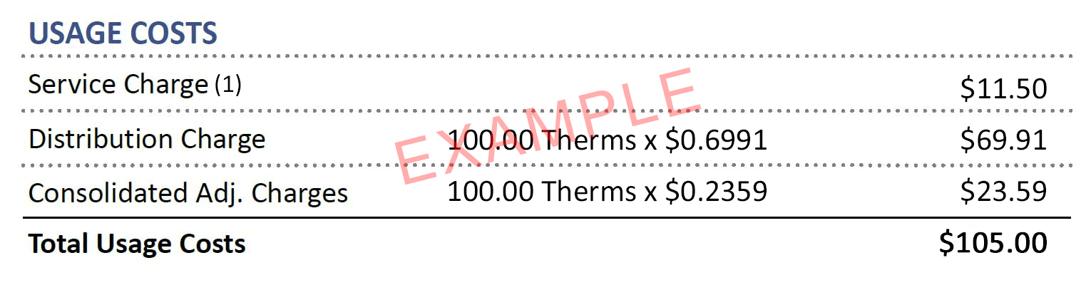 Sample bill showing usage charges