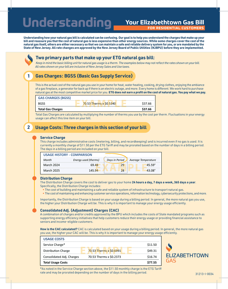 screenshot of a 2025 bill insert