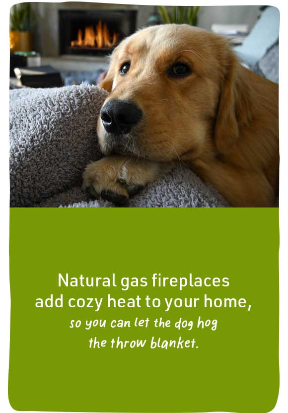 Natural gas fireplaces add cozy heat to your home, so you can let the dog hot the throw blanket.