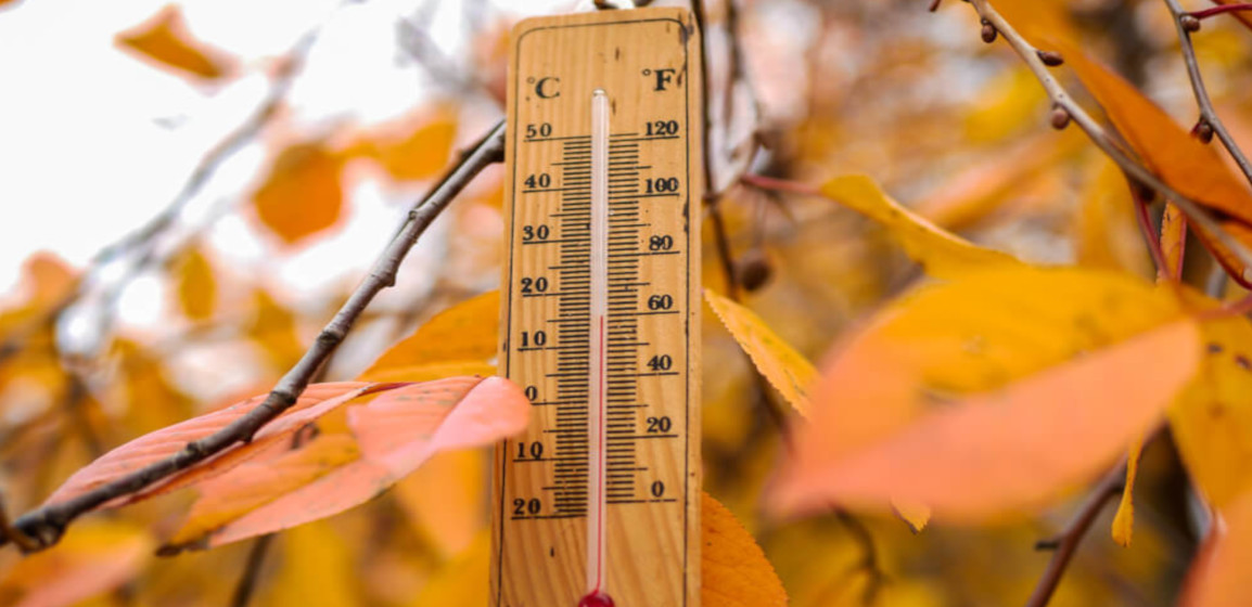 Get Your Home Ready for Fall: An Energy Check-Up for National Energy Awareness Month